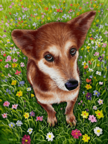 a cute puppy