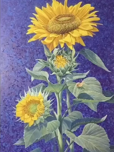 Sunflowers on Blue