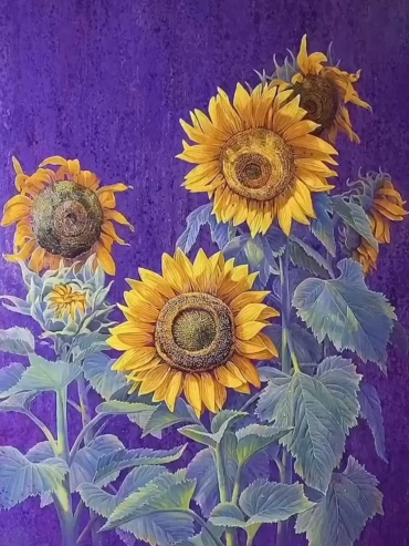 Sunflowers on Purple