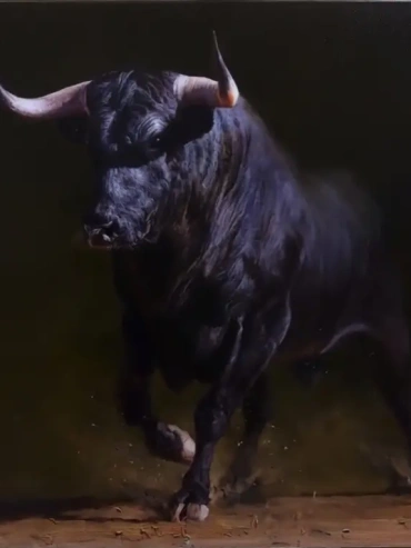 Wild Black Bull