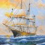 Voyage Through the Waves